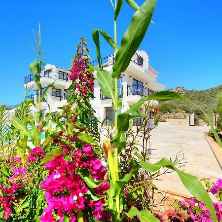 Aykan Villa